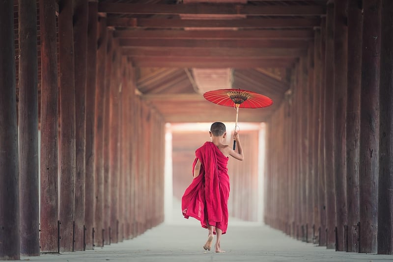 Travel the world